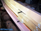 Surfacing New Planks 004--POST