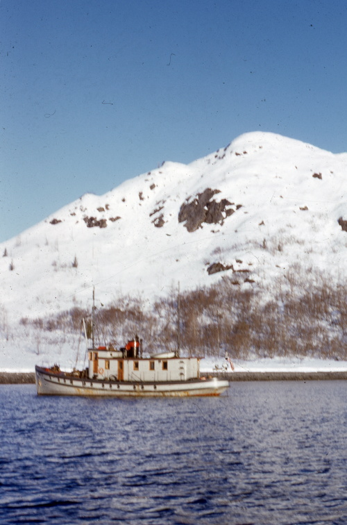 Nunatak Glacier bay Alaska ca 1954 16