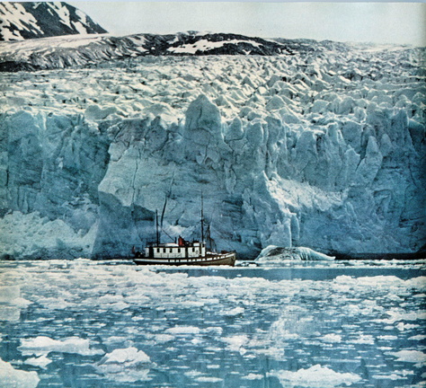 Nunatak at Reid Glacier