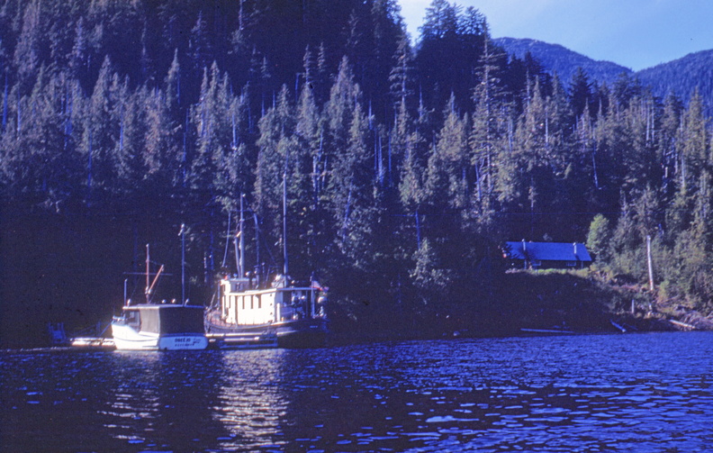Swan II 3 Alaska ca 1954.jpg