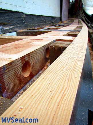 Camber-n-Sheer Plank Sheer 003--POST