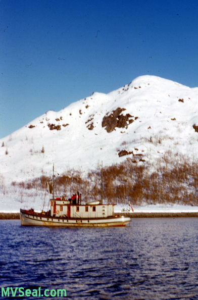 Nunatak Glacier bay Alaska ca 1954 16--POST.jpg