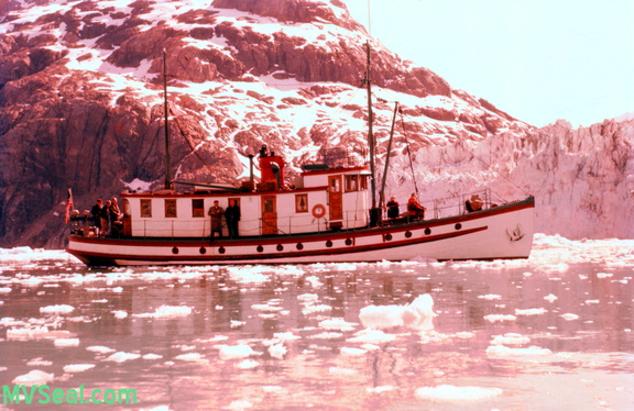 Nunatak Glacier Bay ca 1954--POST