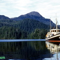 Swan II Alaska ca 1950--POST.jpg