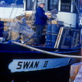 Swan II Joe Skorlk 2 ca 1950--POST