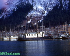 Swan II Juneau 1 ca 1950--POST