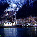 Swan II Juneau 2 ca 1950--POST
